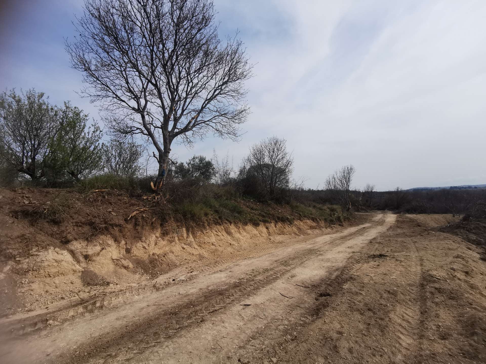 REKONSTRUKCIJA I SANACIJA NERAZVRSTANIH CESTA GRADA BENKOVCA II. FAZA - 